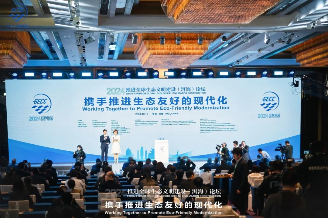 大理：奋楫扬帆新征程 文化强州展新篇(图2)