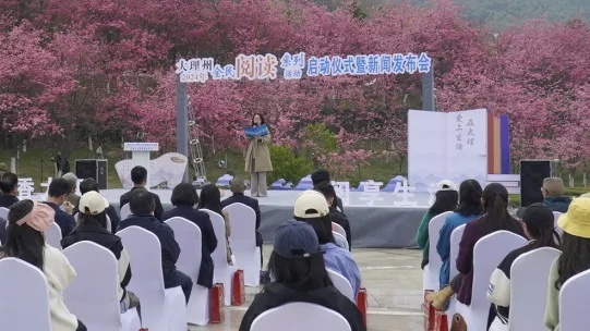 大理：奋楫扬帆新征程 文化强州展新篇(图3)